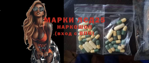 таблы Бородино