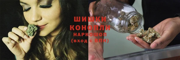 таблы Бородино