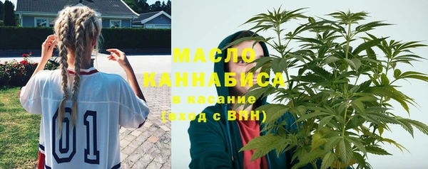 таблы Бородино