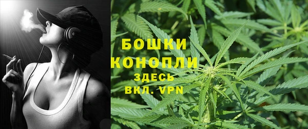 таблы Бородино
