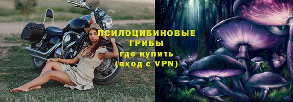 спиды Бронницы