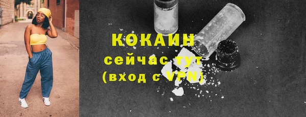 таблы Бородино