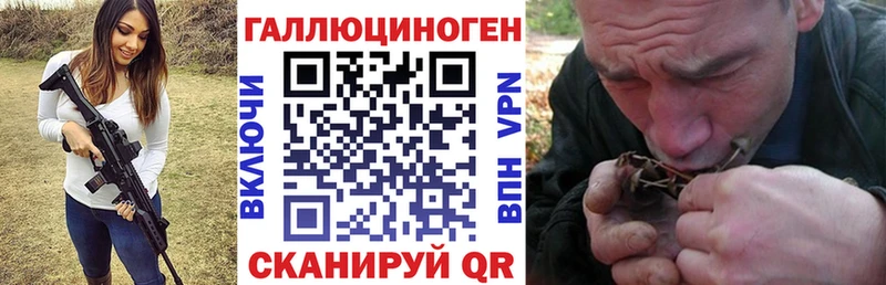Псилоцибиновые грибы Psilocybe  Константиновск 